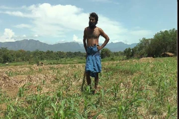 விவசாயிகளின் வருமானத்தை திரட்டும் அரசாங்கம்