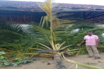 பாடசாலைக்குள் புகுந்த காட்டு யானை அட்டகாசம்!