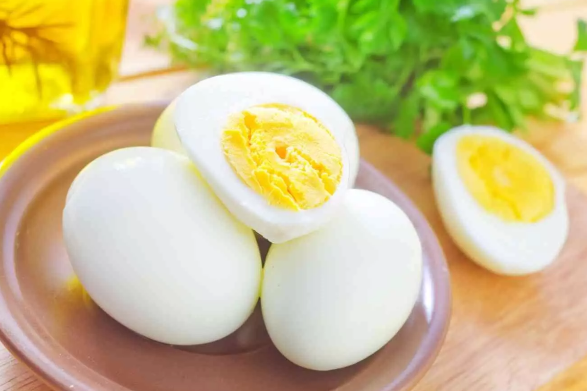 முட்டையின் மஞ்சள் கரு ஆபத்தானதா?- மருத்துவரின் கூற்று | Is Egg Yolk Dangerous In Tamil