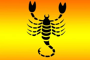 விருச்சிக ராசியில் பிறந்தவரா நீங்கள்?