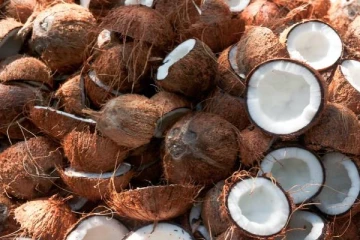 இலங்கையில் அதிகரித்த தேங்காய் விலை!