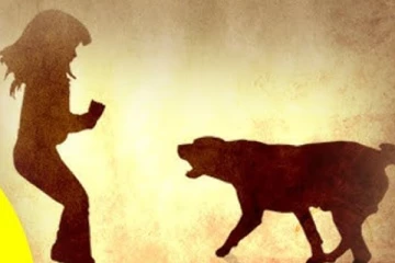 සියල්ලන් සංවේදී කරමින් දස හැවිරිදි දියණියට සුරතලා සිදු කළ අපරාධය..