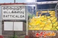 மட்டக்களப்பில் வாக்காளர்களுக்கு வழங்குவதற்காக கொண்டு செல்லப்பட்ட ஒரு தொகை அரிசி பறிமுதல்