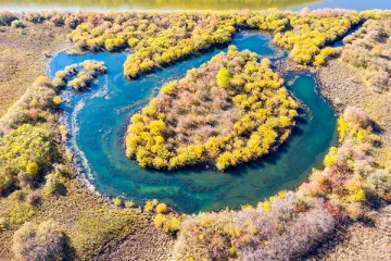 ஆசியாவின் அதிக சதுப்பு நிலப்பரப்பை கொண்ட நாடு எது தெரியுமா...!