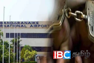 கட்டுநாயக்காவில் தரையிறங்கிய இலங்கையர் கைது