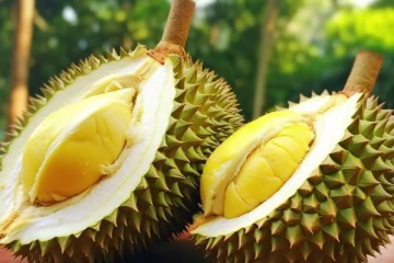 துரியன் தோட்டத்தில் நுழைந்தவர் மீது துப்பாகிச்சூடு