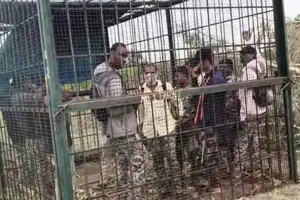 புலியை பிடிக்க தவறிய அதிகாரிகளை கூண்டில் அடைத்த கிராம மக்கள் | Villagers Cage Officers Who Failed To Catch Tiger