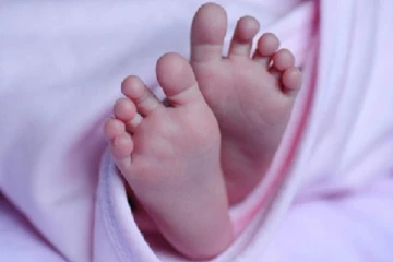 யாழில் சிசுவை உயிருடன் புதைத்த தாய் தொடர்பில் வெளியான தகவல்