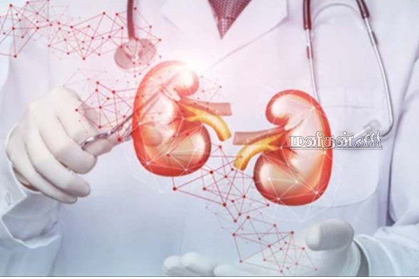 வாழ்நாள் முழுவதும் நீரிழிவு, சிறுநீரக நோய்களிலிருந்து தப்பிக்க வேண்டுமா? வாழைத்தண்டு செய்யும் அற்புதம் | Daily Banana Stem Eat Benefits Tamil