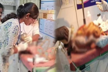 பிறந்த சில மணி நேரத்திலேயே..உடலில் வெட்டு காயத்துடன் வீசப்பட்ட குழந்தை - பகீர் தகவல்!