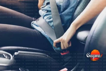 අධිවේගී මාර්ගවල බස් මගීන්ට ආසන පටි පැළඳීම අද සිට අනිවාර්යයි