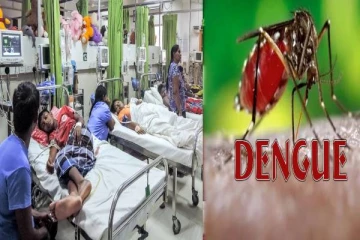 இலங்கையில் வேகமெடுக்கும் டெங்கு நோய்; எச்சரிக்கும் தேசிய டெங்கு கட்டுப்பாட்டுப் பிரிவு