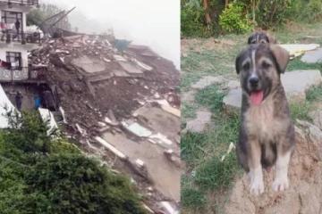 நிலச்சரிவில் தரைமட்டமான கிராமம் - நள்ளிரவில் 67 பேரின் உயிரை காப்பாற்றிய நாய்