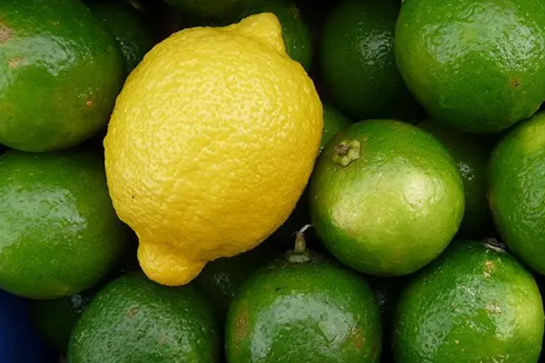 இலங்கையில் தேசிக்காய் கிலோ 3,000 ரூபாய்க்கு விற்பனை | Lemon Vegetables Sold For Rs 3 000 Per Kilo Lanka
