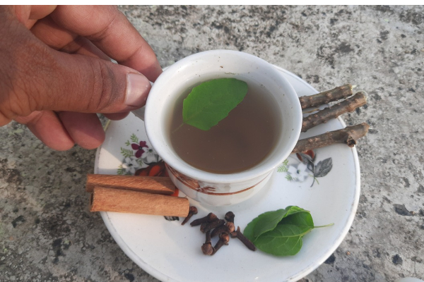 நீரிழிவு கொல்லி… சுகரை ஓட ஓட தாக்கி அழிக்கும் பானம்! | From Fighting Dengue To Diabetes