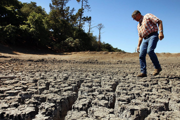 ஐரோப்பாவில் கடும் மோசமடையும்   வறட்சி! | Severe Drought In Europe