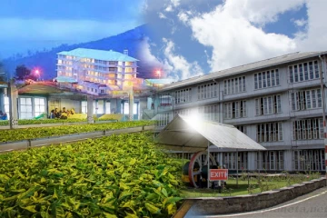 மின்கட்டண அதிகரிப்பால் சிக்கலில் தேயிலைத் தொழிற்சாலைகள்