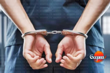 බඩුත් එක්කම පාතාල ගෝලයෙක් අත්අඩංගුවට