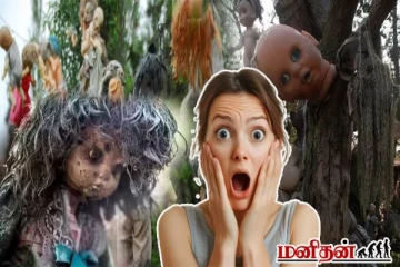 1500 பொம்மைகளால் நிறைந்த தீவு ! திகிலூட்டும் பின்னணி என்ன?