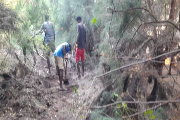 வடமராட்சி கிழக்கு மணல்காடு சவுக்கம் காட்டில் தீ பரவல்: கட்டுப்படுத்த அவசர நடவடிக்கை