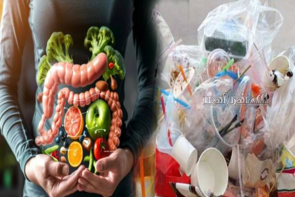இந்த தவறுகளை உடனடியாக நிறுத்த வேண்டும்.. குடலுக்கு ரொம்ப கேடு | Habits That Worsen Gut Health In Tamil