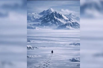 ஒட்டு மொத்த உலகத்தை குழப்பத்தில் ஆழ்த்திய பென்குயின்