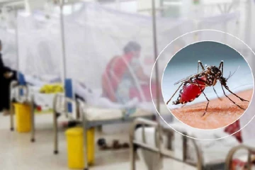 தீவிரமெடுக்கும் டெங்கு காய்ச்சல்; ஒரேநாளில் 8 பேர் பலி - மக்களே கவனம் !