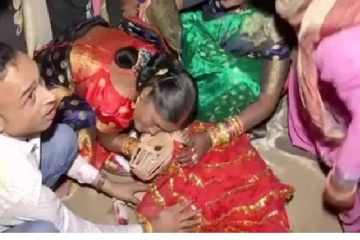 மாங்கல்யம் தந்துனானே : செல்ல பிராணிகளுக்கு முறைப்படி திருமணம்.. வைரலாகும் வீடியோ