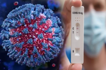 மீண்டும் உலகை அச்சுறுத்தும் உருமாறிய Cicada கொரோனா! 23க்கும் மேற்பட்ட நாடுகளில் பரவல்