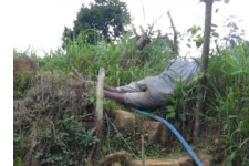 பன்றிக்கு வலை வைத்தவர் பரிதாபமாக பலி!