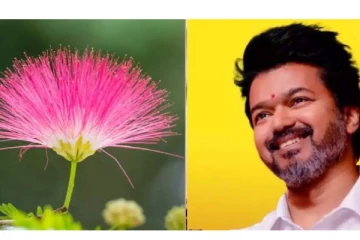 TVK கொடியை அறிமுகம் செய்யும் விஜய்..எப்போது தெரியுமா?