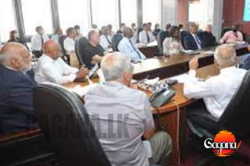 එහෙම කොහොමද අපිත් 30% තව අඩු කර ගන්නවා, සහන ඉල්ලා ලංකාවේ නියෝජිතයින් අමෙරිකාවට