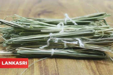 தர்ப்பை புல் பற்றி அறிந்ததுண்டா? இவற்றின் விசேஷ நன்மைகளைப் பற்றி பார்ப்போம்