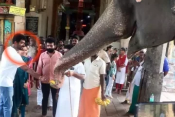 யானைக்கு பயந்து நடுங்கிய நயன்தாரா! காதலன் விக்கி செய்த காரியம்