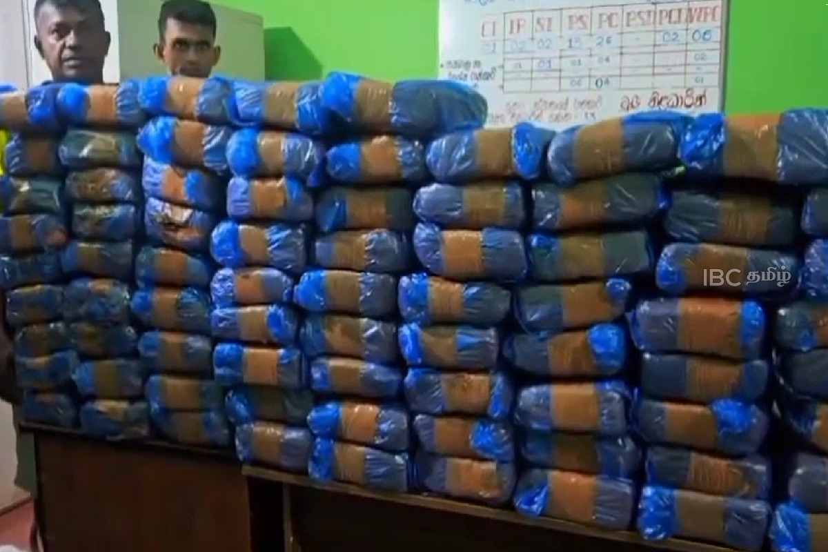 யாழில் நீண்ட நாட்களுக்கு பின்னர் பெருந்தொகையில் கைப்பற்றப்பட்ட கஞ்சா | Large Quantity Of Ganja Seized In Jaffna யாழில் நீண்ட நாட்களுக்கு பின்னர் பெருந்தொகையில் கைப்பற்றப்பட்ட கஞ்சா | Large Quantity Of Ganja Seized In Jaffna
