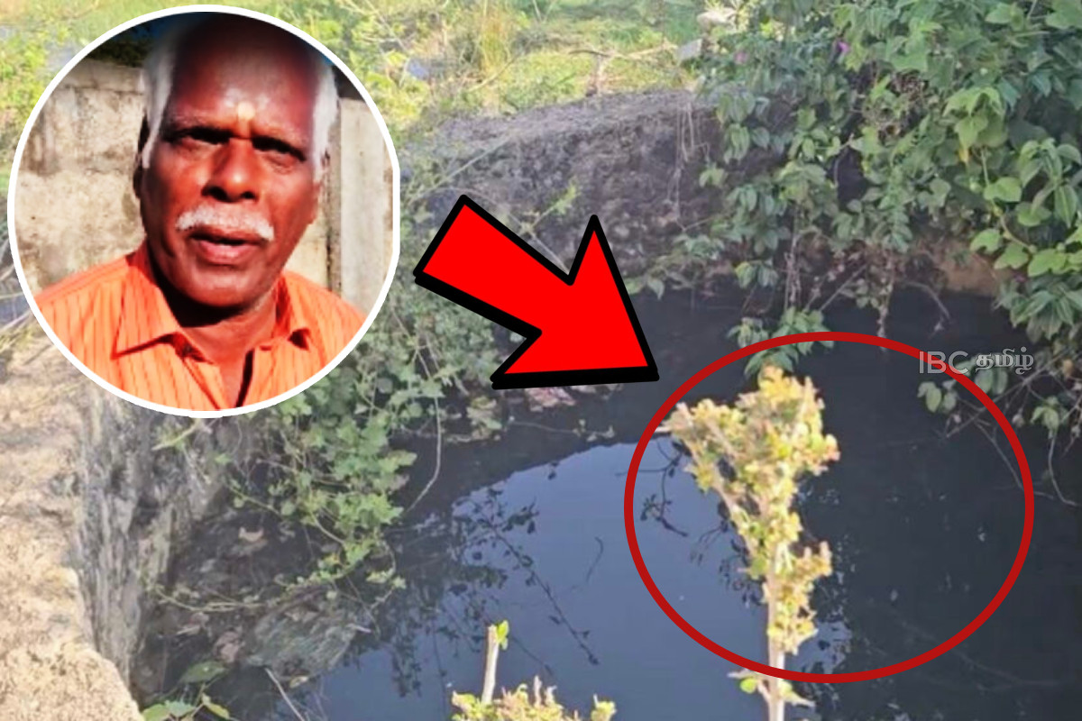யாழ் அராலியில் அதிசயம்! பொங்கி வழியும் கிணறுகள்: ஐயனாரின் புதுமை எனும் மக்கள் | Wells Overflowing With Water In Araly Jaffna யாழ் அராலியில் அதிசயம்! பொங்கி வழியும் கிணறுகள்: ஐயனாரின் புதுமை எனும் மக்கள் | Wells Overflowing With Water In Araly Jaffna