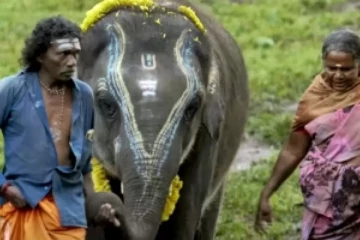 ஒஸ்கார் விருதினை வென்ற தமிழ் ஆவணப்படம்!