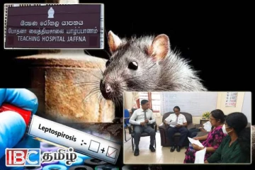 வடக்கில் உயரும் உயிர்ப்பலி! கொழும்பிலிருந்து வந்த குழு யாழில் ஆய்வு