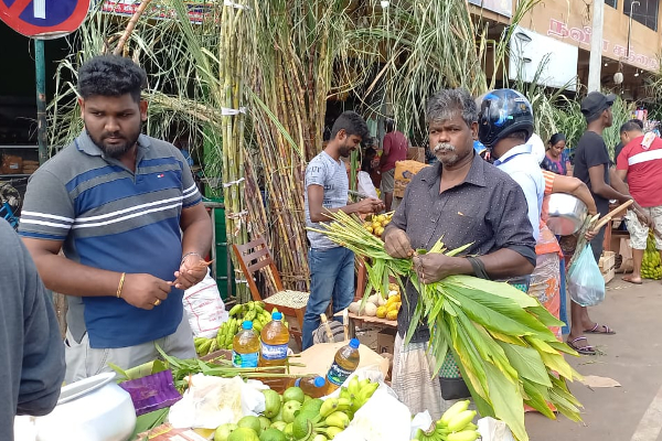 யாழில் களைகட்டும் தைப்பொங்கல் வியாபாரம்!(Photos) | Pongal Business Strat In Jaffna