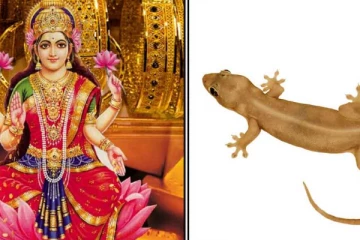 வீட்டில் பல்லியை விரட்டாதீர்கள்-ஆன்மீகம் சொல்லுவது என்ன?