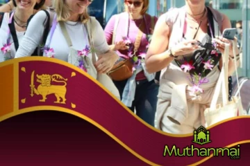 நாட்டுக்கு வந்து குவிந்த சுற்றுலாப்பயணிகள்