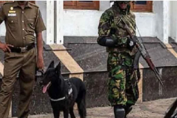 ஒரே நாளில் பொலிஸாரின் பிடியில் சிக்கிய 500க்கும் மேற்பட்ட சந்தேக நபர்கள் | Over 500 Suspects Nabbed By Police In One Day