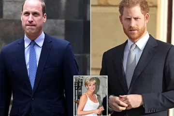 இளவரசி டயானாவின் சிலையை திறக்க இருக்கும் ஹரி வில்லியம்... சிலை திறப்பு நிகழ்ச்சி எங்கு எப்போது நடைபெறுகிறது?