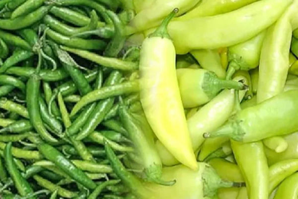 இலங்கையில் உச்சம்தொட்ட மிளகாய் விலை | The Price Of Chilies Is As High