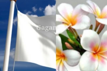 මෙරට ප්‍රබල දේශපාලකයෙක් අභාවප්‍රාප්ත වෙයි..