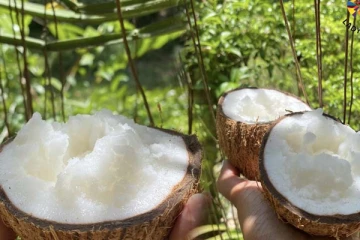 අහලා තිබ්බට කාලා නෑනේ? මේ තියෙන්නේ දීකිරි පොල්.