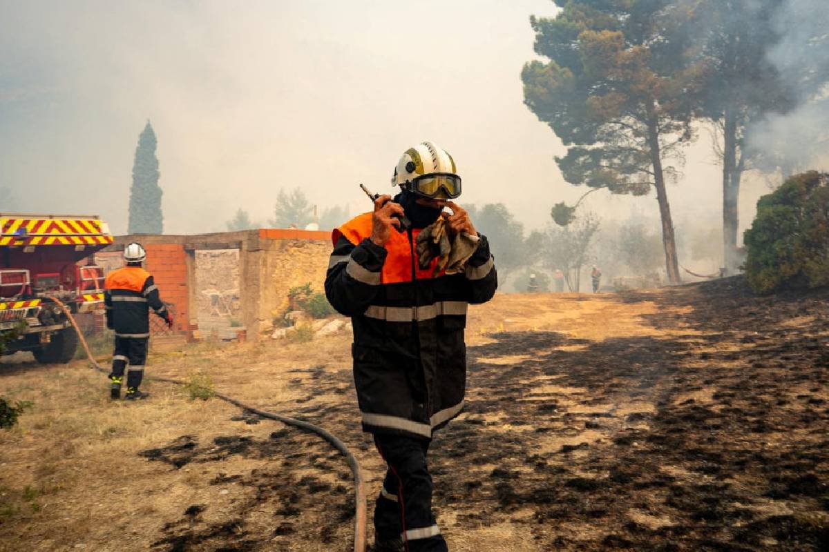 பிரான்ஸில் காட்டுத்தீ! 474 பேர் அதிரடியாக கைது | People Arrested Causing Wildfires In France பிரான்ஸில் காட்டுத்தீ! 474 பேர் அதிரடியாக கைது | People Arrested Causing Wildfires In France