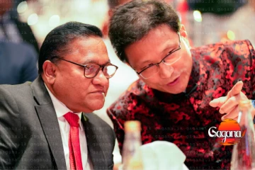 ඉස්සරහටත් වාසි වෙන විදිහට සබඳතා පවත්වමු - චීන අවුරුදු හමුවට ගිය විජිත