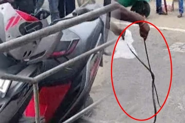 வீதியில் நிறுத்தப்பட்டிருந்த மோட்டார் சைக்கிளில் அழையா விருந்தாளி! சம்பவத்தால் பரபரப்பு