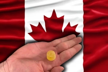 கனடாவில் ஆபத்தின் விழிம்பில் முதியவர்கள்